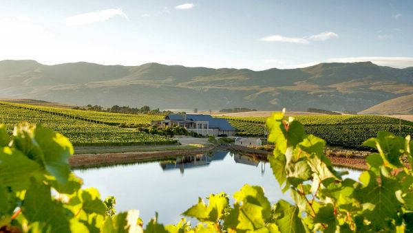 A wine-lover’s guide to the Overberg