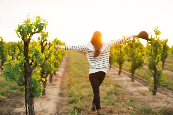 Winelands getaways