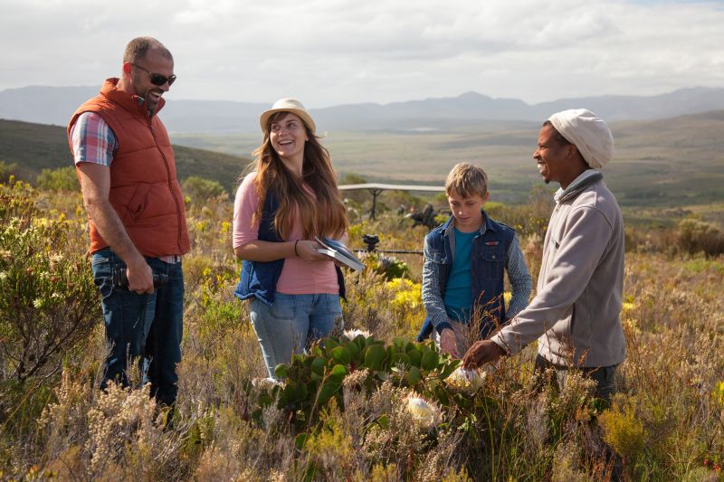 Grootbos Private Nature Reserve
